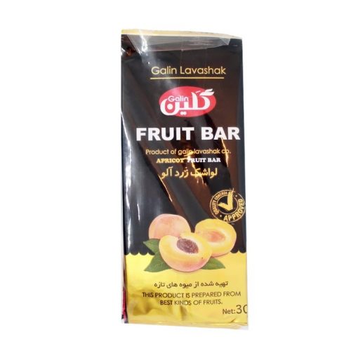 Fruit Bar Galin 10 Pcs (lavashak makhloot)